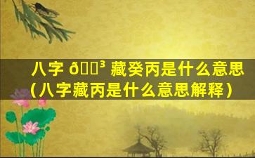 八字 🌳 藏癸丙是什么意思（八字藏丙是什么意思解释）